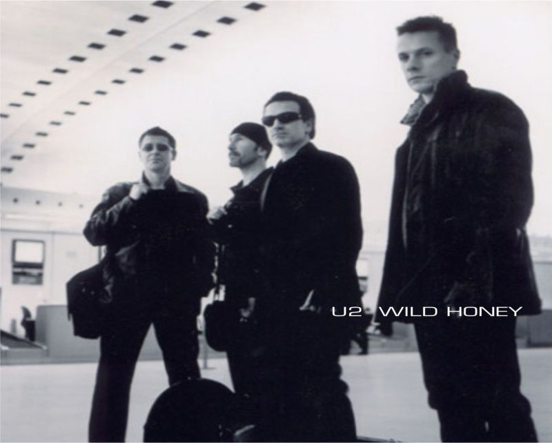 U2 - Wild honey [Promo-CD]